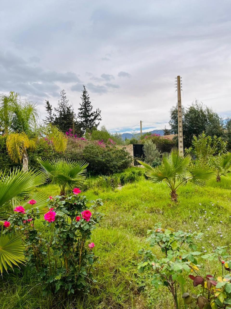 Villa Le Jasmin Oulad Bou Abdallah Eksteriør bilde